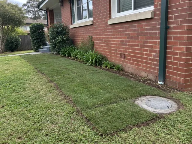 Reinstated lawn patch with round sewer access cover beside a brick house in Turramurra